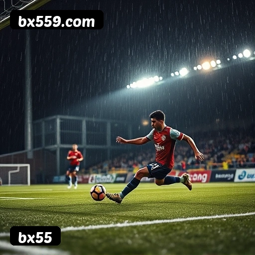 Níveis do programa VIP da bx55